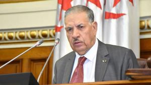 يجب قطع الطريق أمام &quot;الأوليغارشية الدخيلة&quot; بالبرلمان الإفريقي