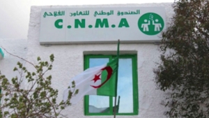 &quot;التعاون الفلاحي&quot; يعوض المتضررين بورقلة