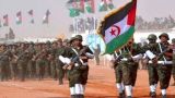 الشعب الصحراوي في آخر أشواط الكفاح