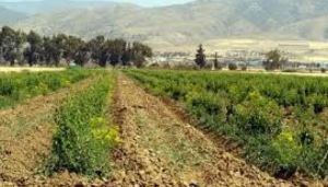 لقاء تقني تحسيسي جهوي