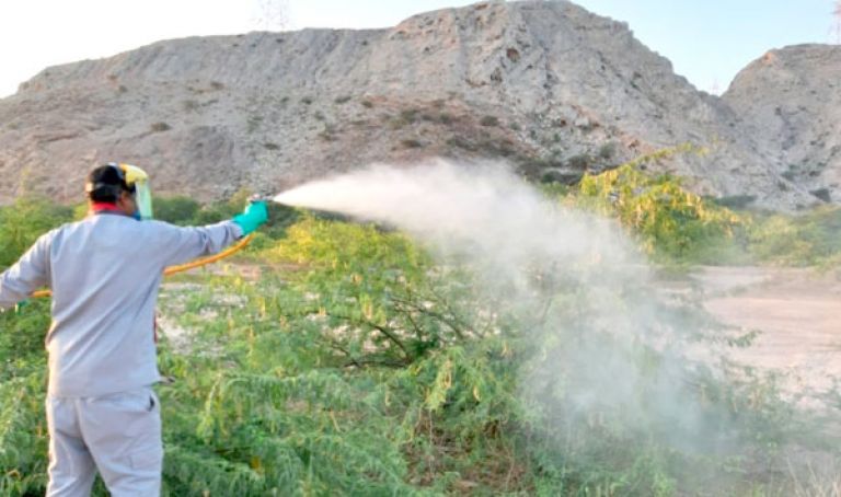 جهاز المراقبة ضد الجراد الجوال في حالة نشاط