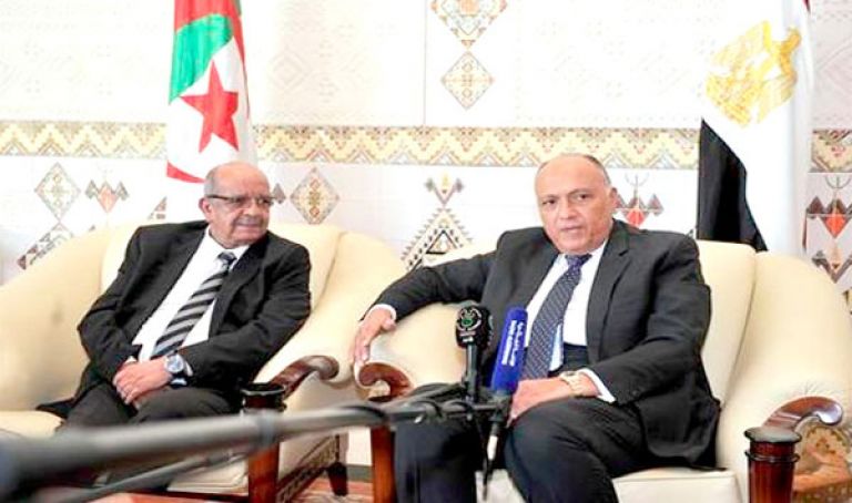 وزير خارجية مصر يؤكد على ضرورة توفير كل الدعم لليبيين