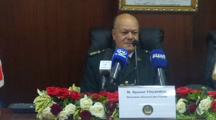 إطلاق أول مشروع لإنتاج الخشب بالسدّ الأخضر نهاية 2025