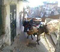 شوارع القصبة أنظف 