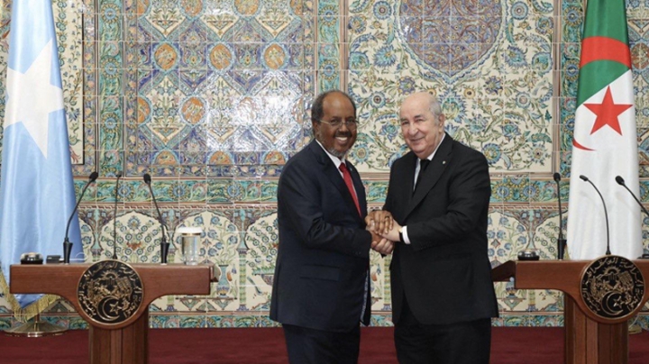 الجزائر- الصومال.. شراكة وتوافق حول الملفات الدولية