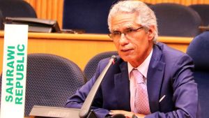 وزير الخارجية الصحراوي، محمد السالم ولد السالك