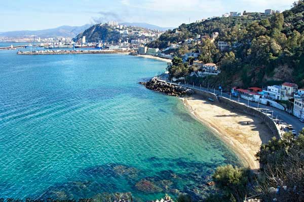 اختتام فعاليات التخييم الصيفي للمتربصين الأفرو أسيويين بسكيكدة