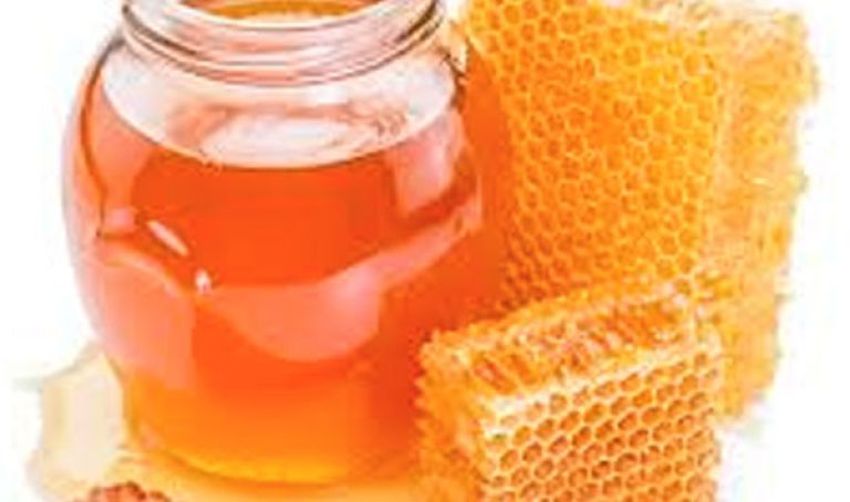 معرض وطني للعسل