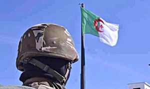 توقيف 5 أشخاص بحوزتهم 3955 خرطوشة