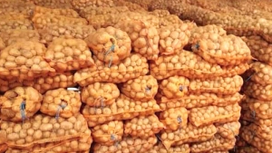 تفريغ 15 ألف طن من مخزون البطاطا