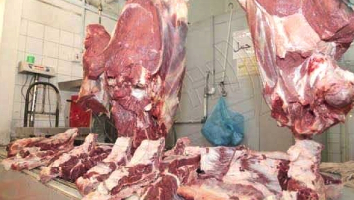 أسعار لحم الإبل تقفز إلى 1800 دينار