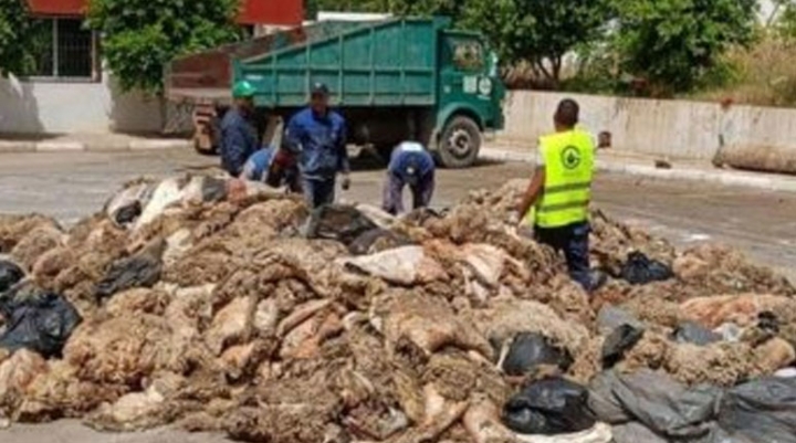 تطبيقات ذكية وتنسيق قطاعي لتحويل نفايات العيد