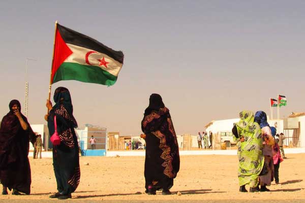 برنامج الغذاء العالمي يرسل 252 طنا من التمور