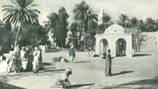 مدينة المنيعة