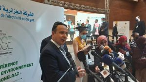 الرئيس المدير العام لـ"سونلغاز"، شاهر بولخراص