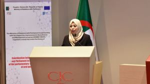 وزيرة العلاقات مع البرلمان، بسمة عزوار