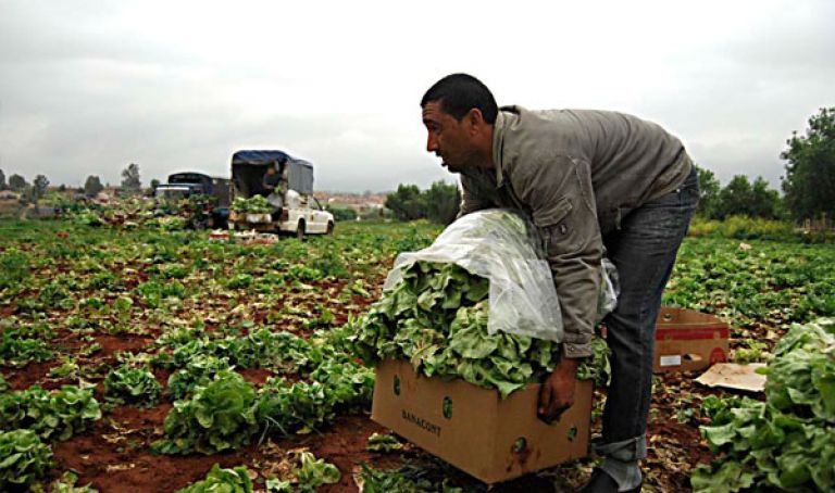 تأمين الفلاحين الصغار لتجنب سيناريو حرائق 2017