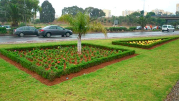 لجنة ولائية للمساحات الخضراء