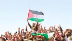 الاتحاد الأوروبي يجدد دعمه للجهود الأممية 