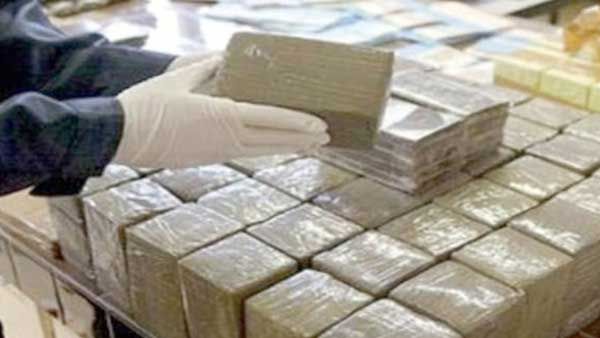 حجز 25 كلغ من المخدرات