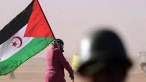 مطالب دولية متصاعدة لإنهاء الاحتلال المغربي للصحراء الغربية