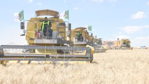 إرادة سياسية واستراتيجية وطنية لـ"ثورة فلاحية"