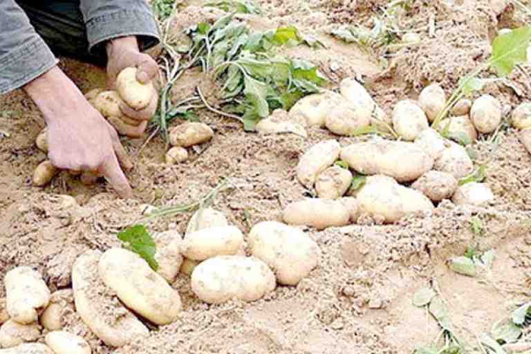 بطالون يرفضون العمل بـ3 آلاف دينار لليوم الواحد