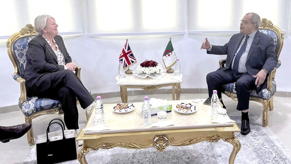 عون يبحث مع السفيرة البريطانية سبل إقامة شراكة صيدلانية موسّعة