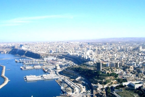 أسعار الأسماك تتراجع في أسواق وهران