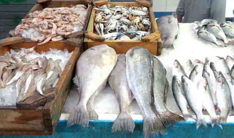 تصدير 337 طنا من السمك الأبيض بأسواق إسبانيا