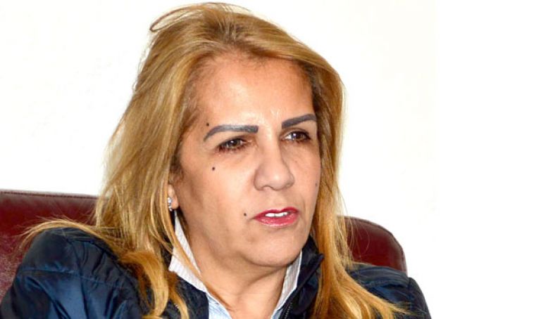النهوض بالمنظمات الداعمة للأعمال بجنوب المتوسط