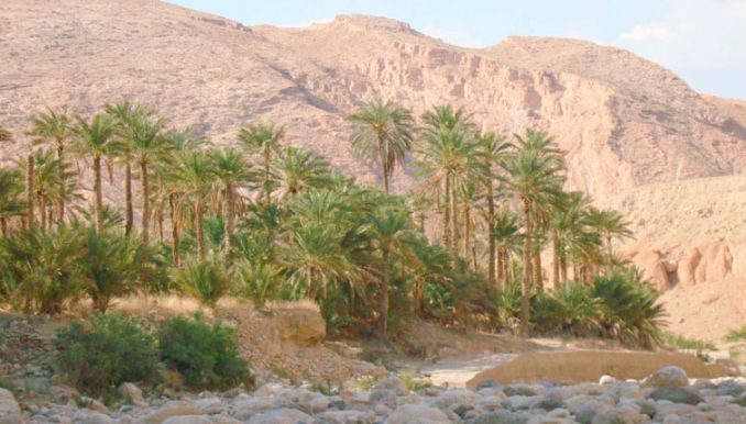 التقنيات التكنولوجية في حياتنا اليومية