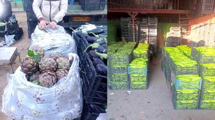 وفرة كبيرة وتراجع محسوس في أسعار الخضر والفواكه