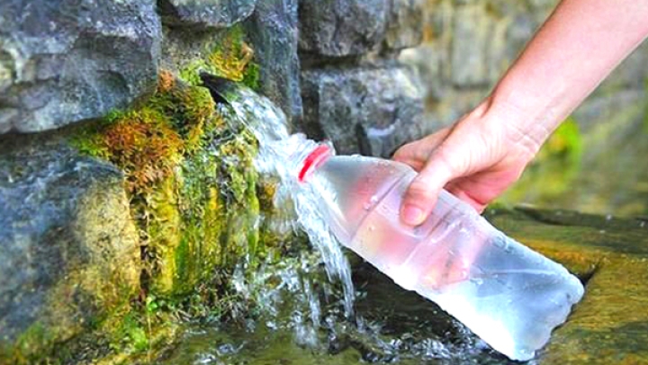 لجنتان للوقاية من مخاطر الغذاء والماء