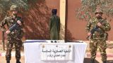 استسلام إرهابي وتوقيف 5 عناصر دعم للجماعات الإرهابية