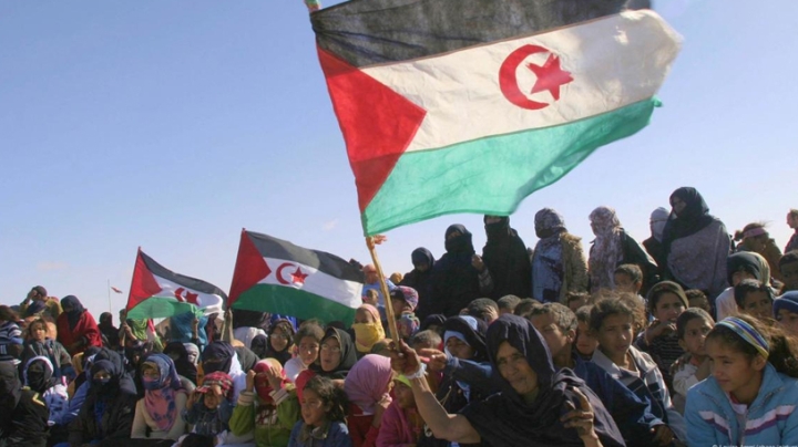 قرار مجلس الأمن يدفع لانحراف خطير وغير مسبوق