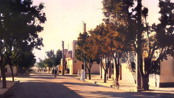 مدينة بشار