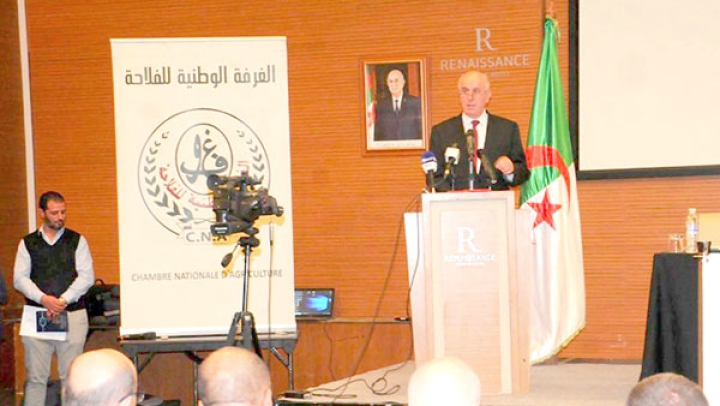 نحو عصرنة وتطوير الشُّعب الاستراتيجية