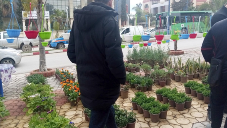 تنظيم أول معرض للزهور بمشاركة 20 حرفيا