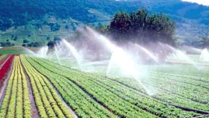 حفر 341 بئر للسقي الفلاحي بتلمسان