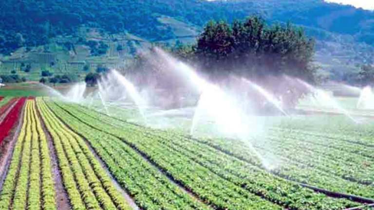 حفر 341 بئر للسقي الفلاحي بتلمسان