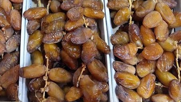 تطوير شعبة التمور يسمح ببلوغ 500 مليون دولار صادرات