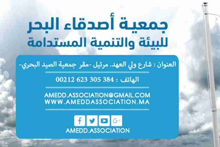 جمعية "أصدقاء البحر" تنظم يوما تحسيسيا بوهران