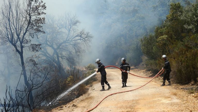 إخماد 51 حريقا عبر 16 ولاية