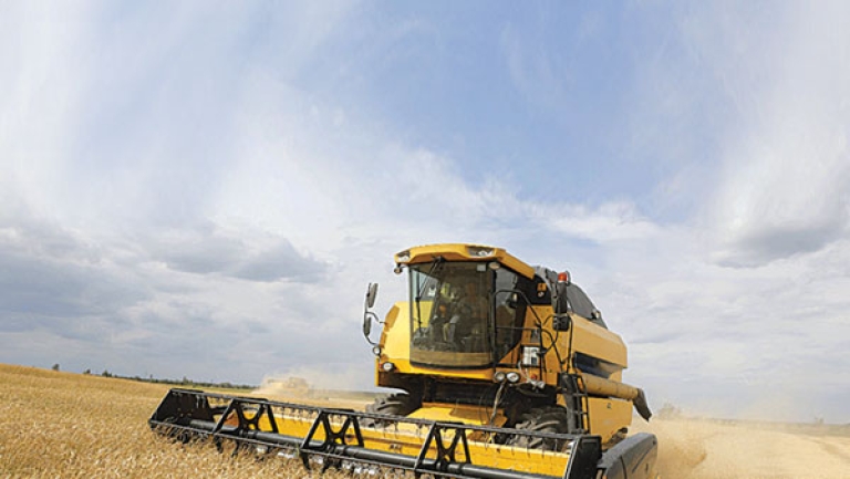 الصحراء.. سلة غذاء الجزائريين