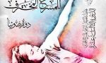  المهرجان الوطني للمسرح المحترف 13