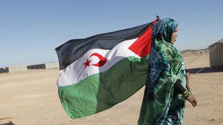 "كوديسا" يفضح الانتهاكات المغربية في المدن المحتلة
