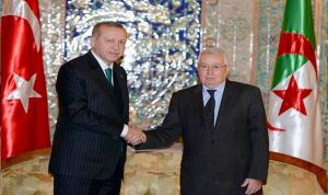 تعزيز التشاور السياسي ودفع الشراكة الاقتصادية