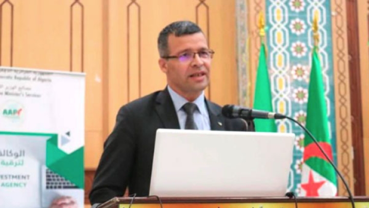 المشاريع الاستثمارية في الميزان