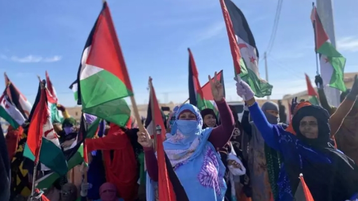 تسليط الضوء على وضع الشّعب الصحراوي وحقّه في تقرير المصير